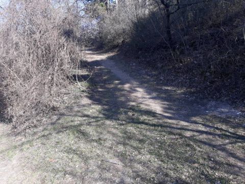 Eladó Telek 2040 Budaörs 