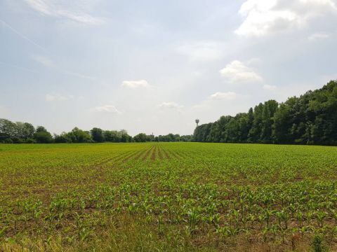 Eladó Telek 7754 Bóly , GKSZ telek az autópálya mellett