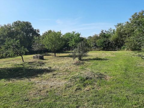 Eladó Telek 2471 Baracska , Központhoz közel