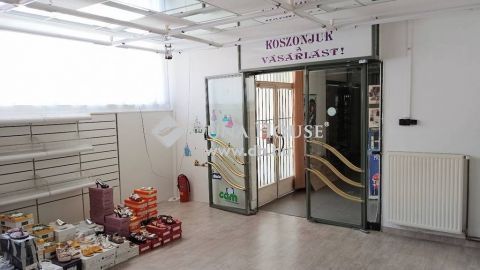 Kiadó Üzlethelyiség, Zala megye, Zalaegerszeg