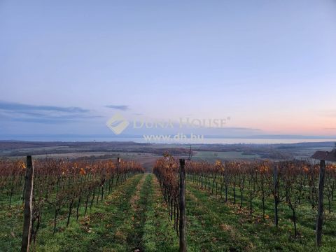 Eladó Telek, Veszprém megye, Szentantalfa - Tagyon hegy, nyugodt, panorámás övezet