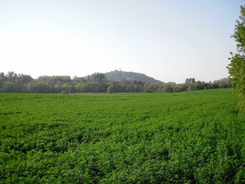 Eladó Telek 2500 Esztergom 