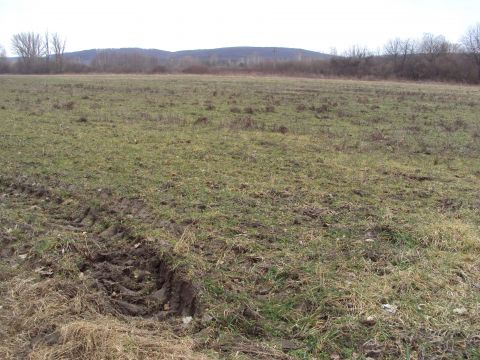 Eladó Telek 8066 Pusztavám , KERESKEDELMI-VENDÉGLÁTÓ VÁLLALKOZÁSRA