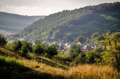 Eladó Mezőgazdasági 3343 Bekölce 