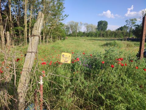 Eladó Telek 6000 Kecskemét Máriahegy