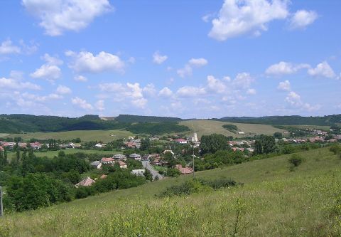 Eladó Telek 3127 Kazár , 28 HEKTÁR ERDŐ-Tölgy, akác és fűz a KAZÁR PATAK MENTÉN