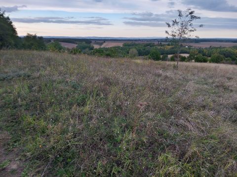 Eladó Telek 8654 Ságvár , Szőlőhegy, Panorámás, Balatontól 10 km-re