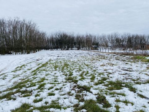 Eladó Telek 2721 Pilis Belterületi építési telek, 1668 négyzetméteres, 30 % beépíthető!