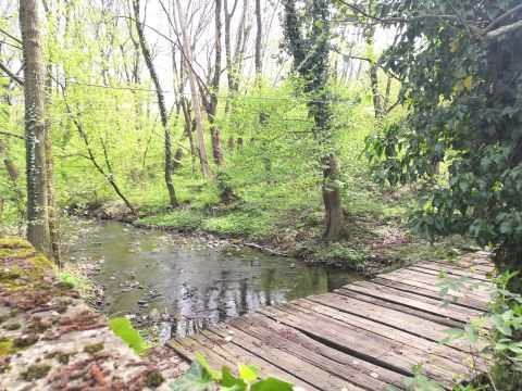 Eladó Telek 2000 Szentendre BELTERÜLETI, LAKÓÖVEZETI, 5120M2-es telek a Bükkös - patak partján, Lke/8 besorolás, osztható!