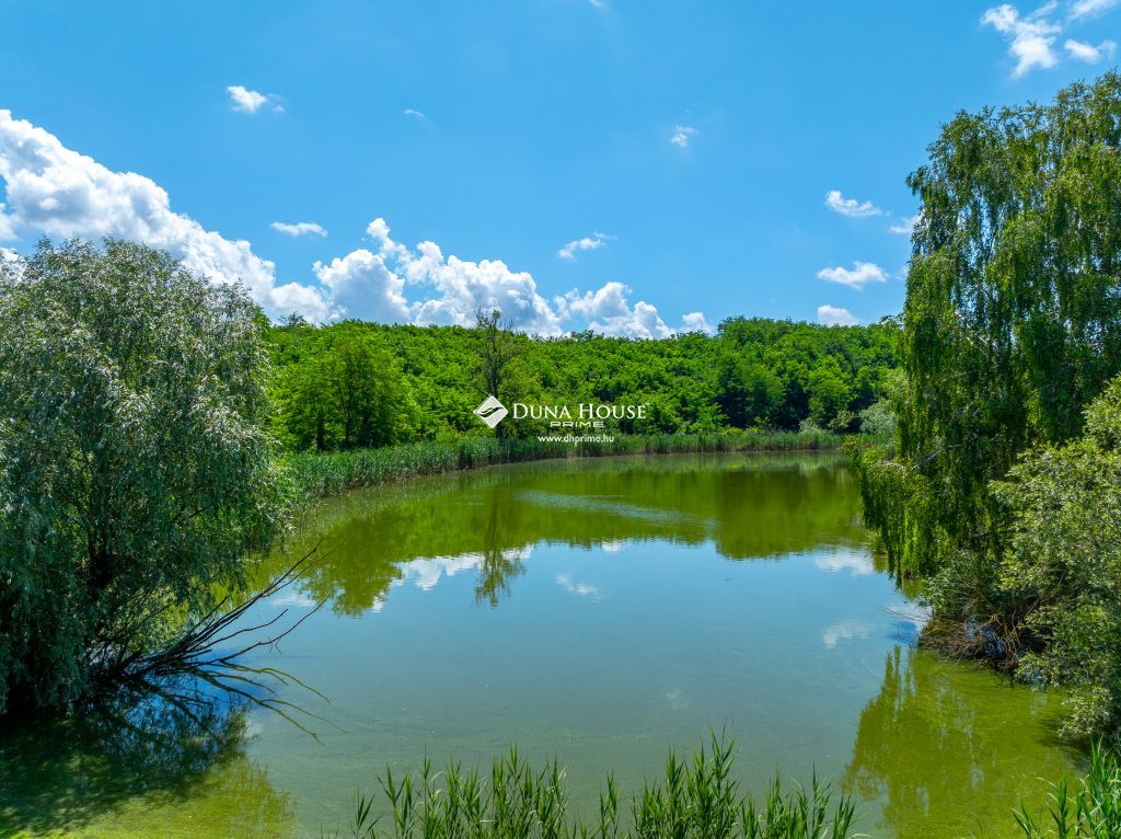 Eladó ház, Balatonendréd