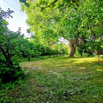 Eladó Ház 2040 Budaörs sík telken ikerház fél