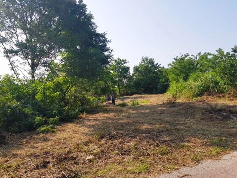 Eladó Telek 7000 Sárbogárd 