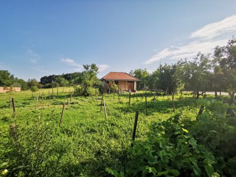 Eladó Telek 8000 Székesfehérvár 