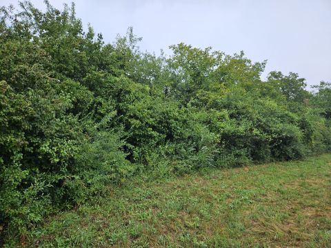 Eladó Telek 8700 Marcali 