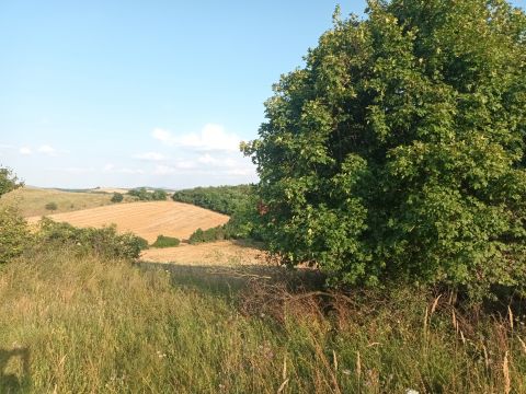 Eladó Telek 2524 Nagysáp 