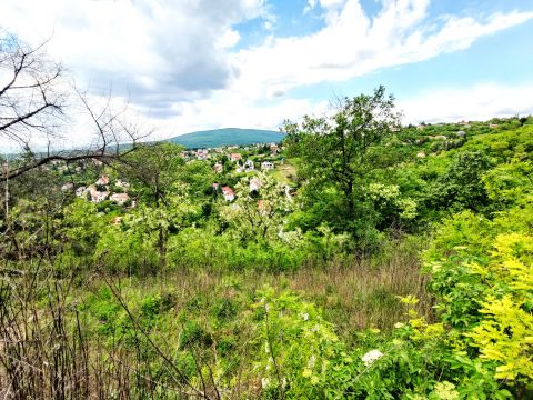 Eladó Telek 7635 Pécs , Báránytetőn 3500 nm-es örökpanorámás telek