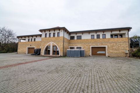 Eladó Mezőgazdasági 3423 Tibolddaróc , Bükki borászat