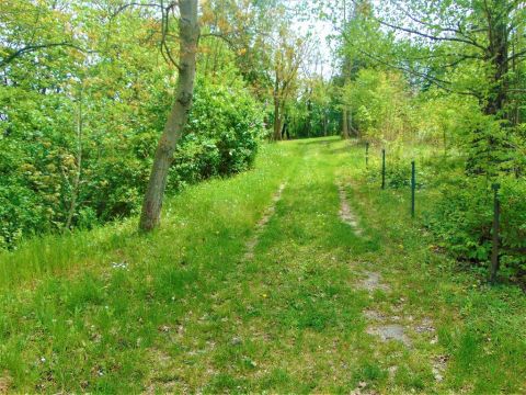Eladó Telek 8900 Zalaegerszeg , 8900 Zalaegerszeg, Cimpóhegy