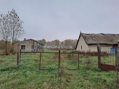Eladó Mezőgazdasági 2750 Nagykőrös Nincs utca