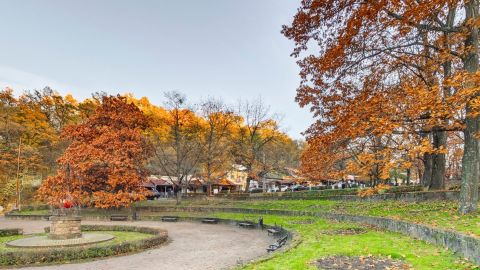 Eladó Vendéglátás 3300 Eger 