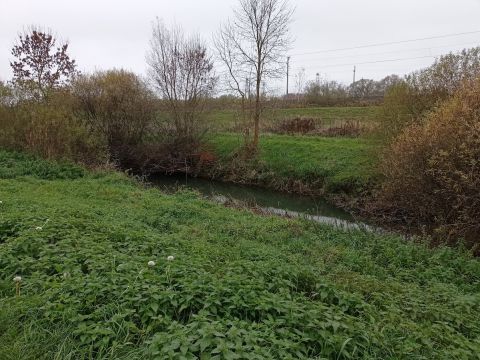 Eladó Telek 8900 Zalaegerszeg 