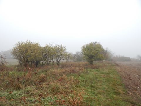 Eladó Telek 6000 Kecskemét , Külterületi telek