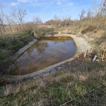 Eladó Ház 6100 Kiskunfélegyháza GYÖNYÖRŰ KÖRNYEZETBEN TANYA ELADÓ HALASTÓVAL!