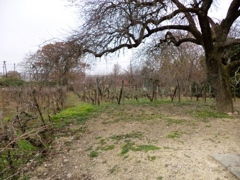 Eladó Telek 2481 Velence Panoráma út eleje