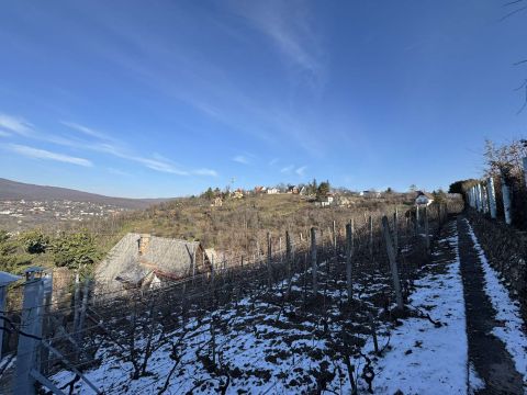 Eladó Telek 7621 Pécs Makáron eladó panorámás telek, kis házzal. 