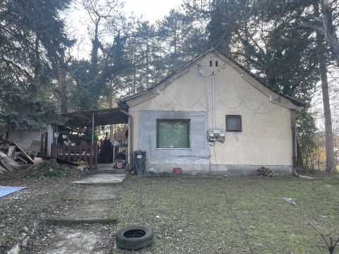 Eladó Ház 2017 Pócsmegyer Pázsit -tó közelében természetközeli ház.