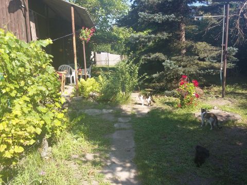 Eladó Telek 4002 Debrecen Panoráma út közeli kert.