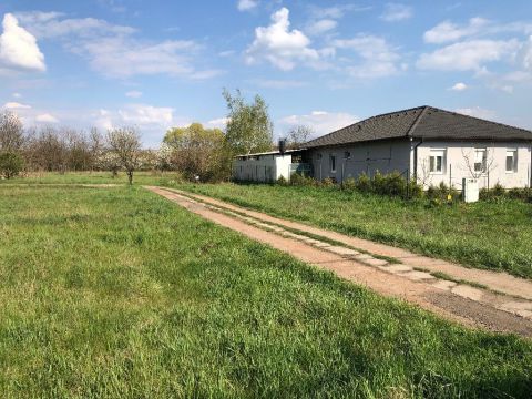 Eladó Telek 5700 Gyula 5700 Gyula, Máriafalva
