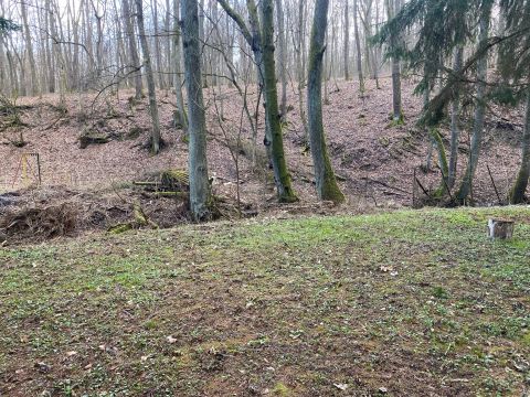 Eladó Telek 2624 Szokolya , Fő utca