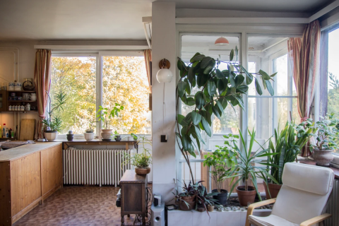 Eladó Ház 1025 Budapest 2. kerület FELÚJÍTANDÓ VILLA-VÉRHALOM TÉR KÖZELÉBEN