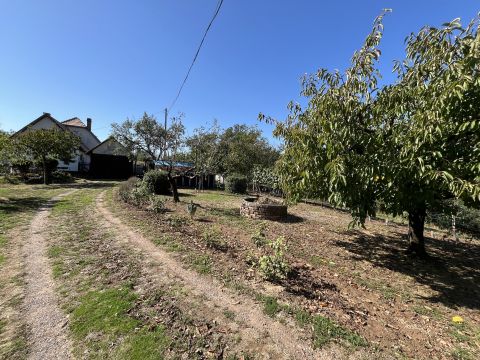 Eladó Ház 7673 Kővágószőlős 