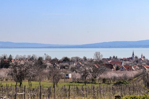 Eladó Telek 8243 Balatonakali , Balatoni panoráma