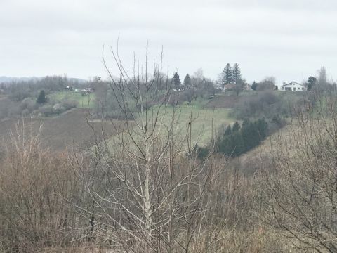 Eladó Ház 8900 Zalaegerszeg 