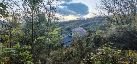 Eladó Telek 2523 Sárisáp 