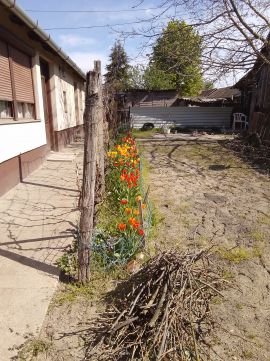 Eladó Ház 6066 Tiszaalpár 