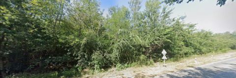 Eladó Telek 2111 Szada , Erdő az Ipari Park közelében a főút mellett!