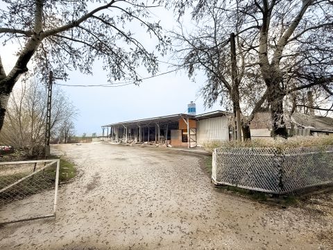 Eladó Ipari 2461 Tárnok 