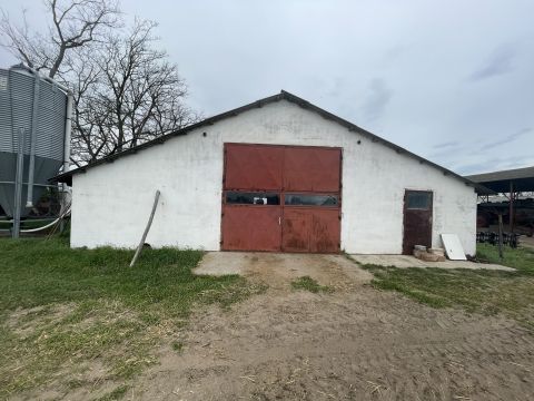 Eladó Mezőgazdasági 6781 Domaszék , Külterület