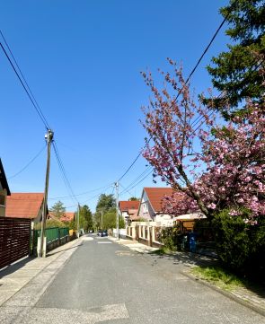 Eladó Ház 2045 Törökbálint 