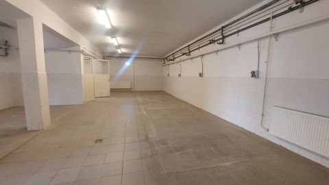 Kiadó Mezőgazdasági 4400 Nyíregyháza , Salamonbokor