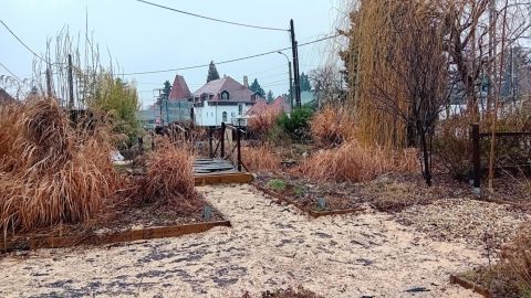 Eladó Telek 2049 Diósd 