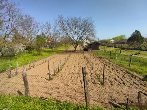 Eladó Telek 2242 Sülysáp , Besnyői dűlő