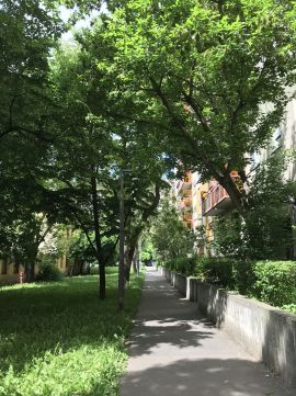 Eladó Lakás 1041 Budapest 4. kerület ÁRPÁD KÓRHÁZNÁL  52NM * 1+2-ES NAPFÉNYES JÓ ÁLLAPOTÚ LAKÁS 