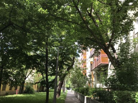 Eladó Lakás 1041 Budapest 4. kerület , ÁRPÁD KÓRHÁZNÁL  52NM * 1+2-ES NAPFÉNYES JÓ ÁLLAPOTÚ LAKÁS 
