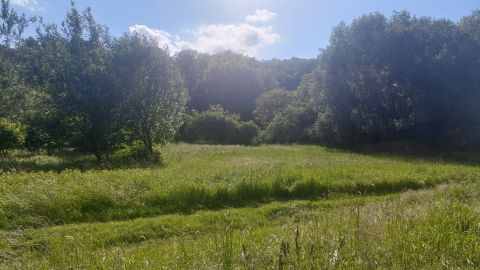 Eladó Telek 7761 Kozármisleny 