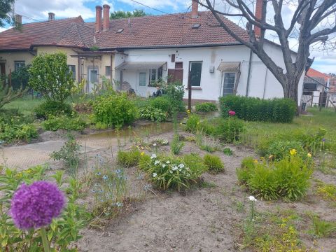 Eladó Ház 6042 Fülöpháza 